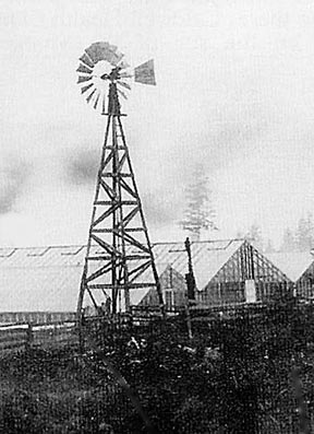 Windmill at Max Elsner's Greenhouse