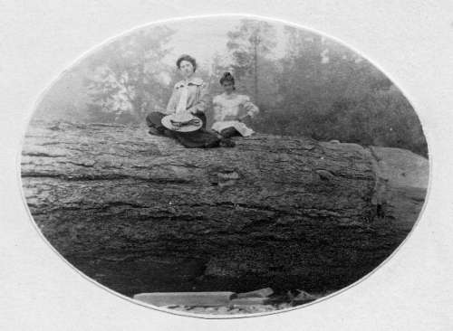 Ladies on a Large Log