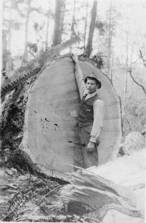 Logger