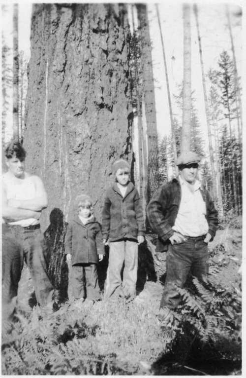 Loggers and Kids by a Big Tree