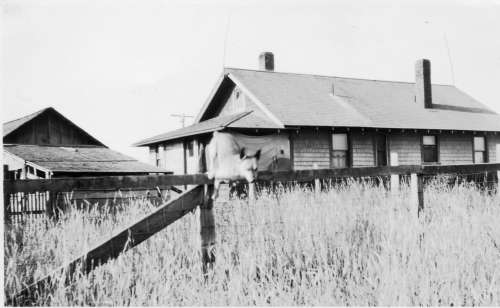 Leigh Elsey House in early 1900s