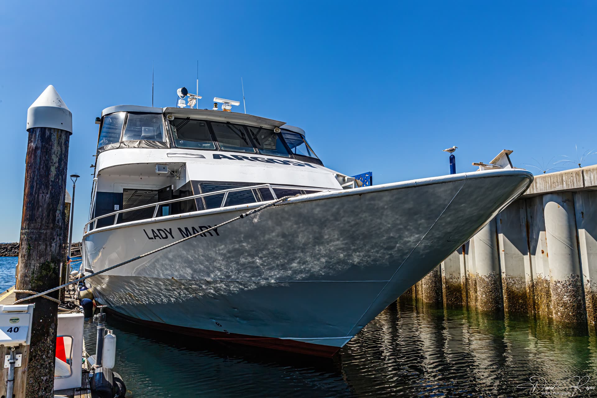 Close view of the Lady Mary bow alongside the marina dock.