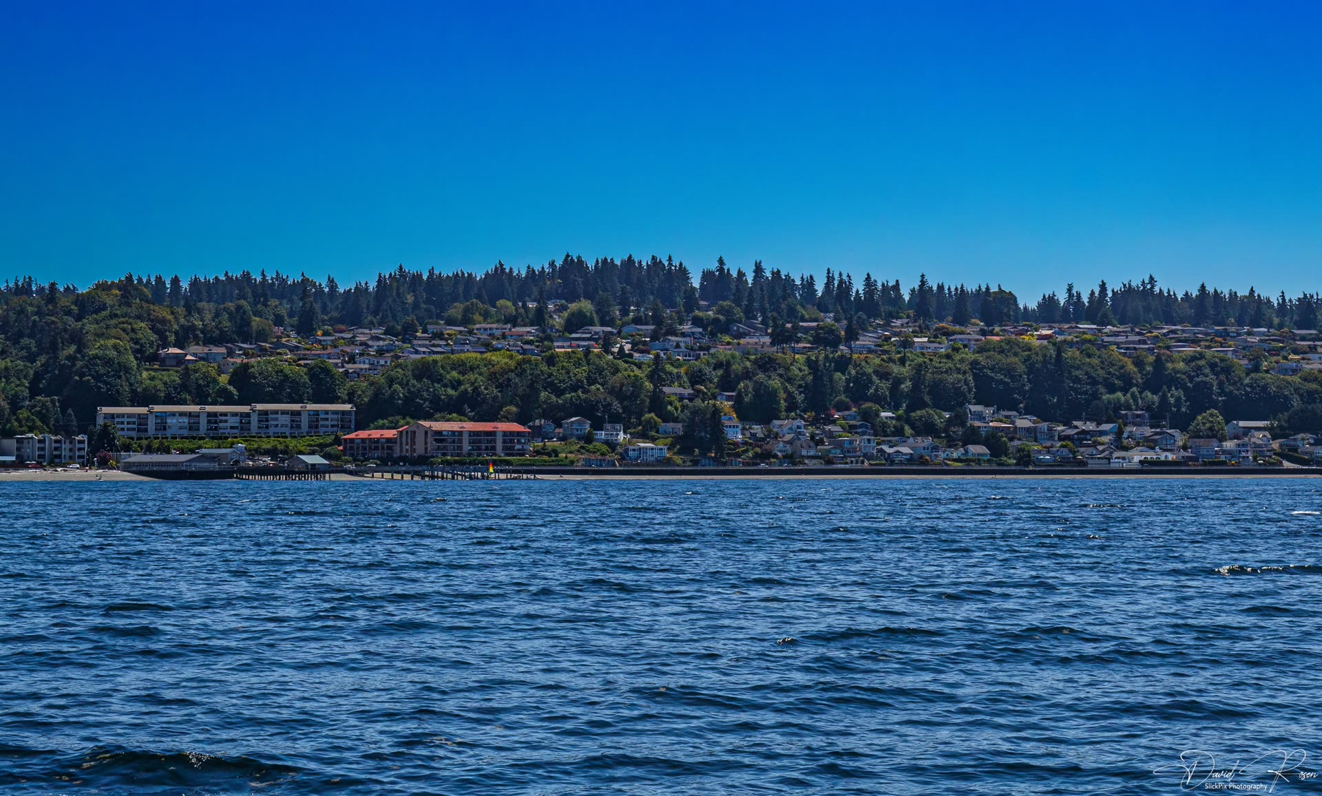 Tree-lined Puget Sound shoreline viewed from the Lady Mary.